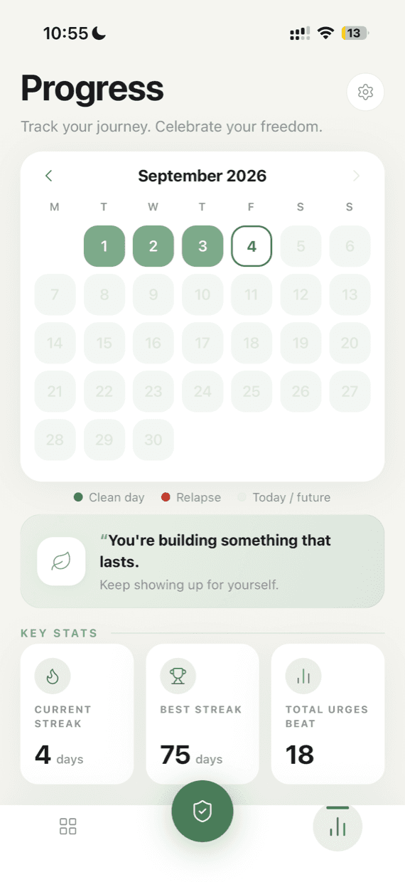 The Boltfri progress screen, a monthly calendar of tracked days with key stats beneath